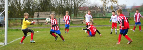 oslava gólu, foto: Václav Mlejnek